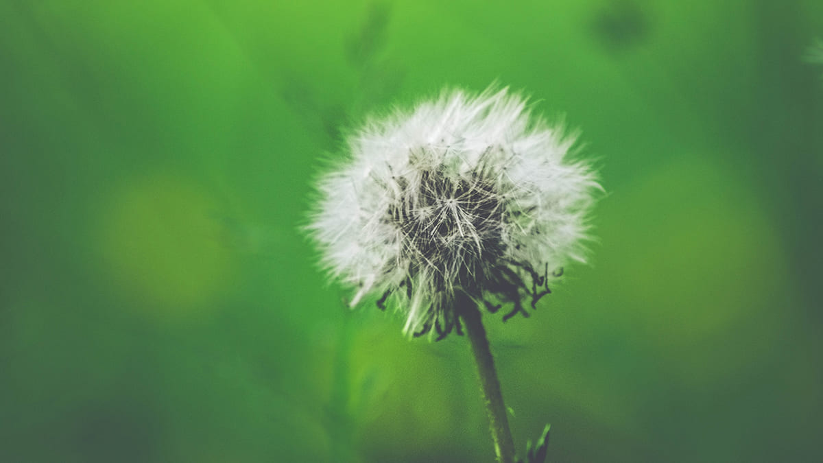 astuces eviter allergies