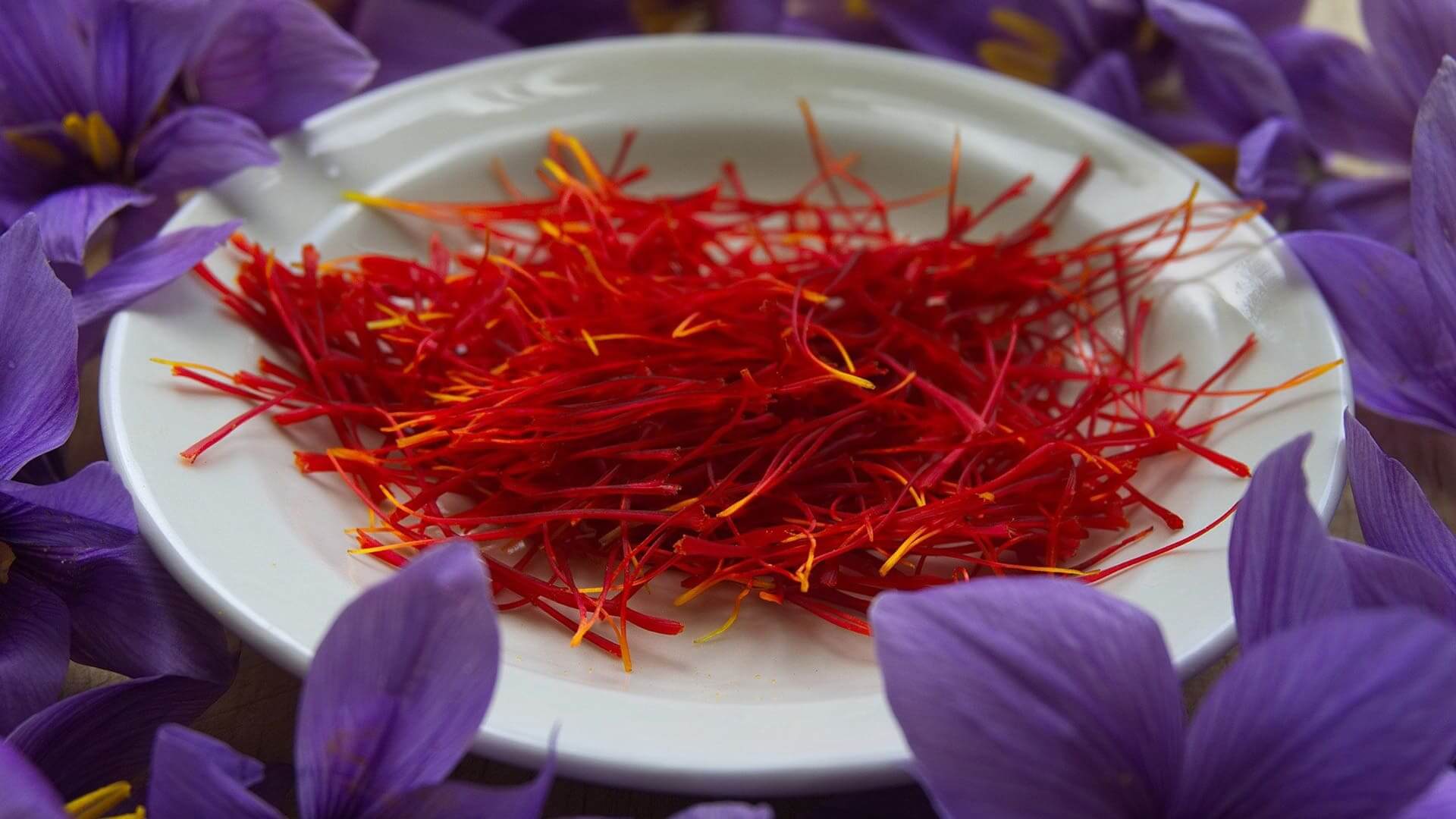 safran propriétés et vertus de l'épice