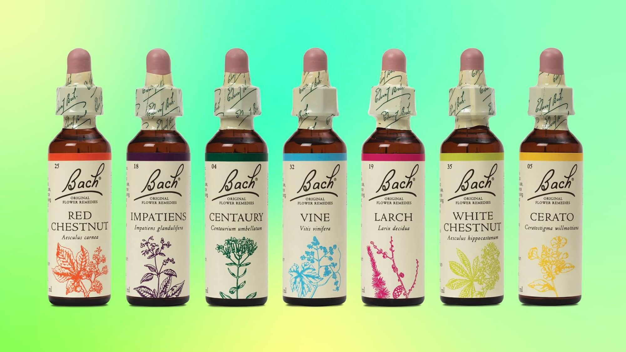 se soigner avec les fleurs de bach