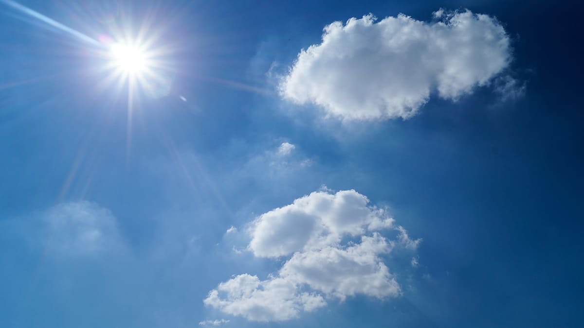 vitamine d système immunitaire